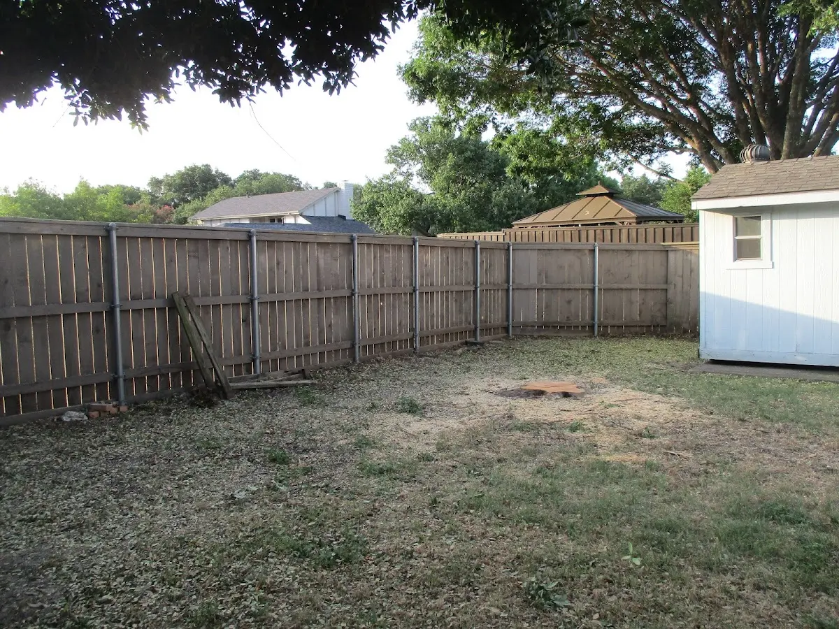 Cleared yard after professional tree removal in English